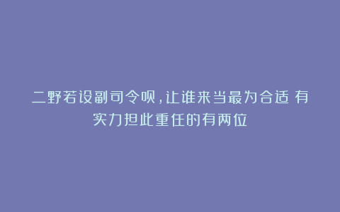 二野若设副司令员,让谁来当最为合适?有实力担此重任的有两位