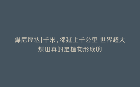 煤层厚达1千米，绵延上千公里！世界超大煤田真的是植物形成的？
