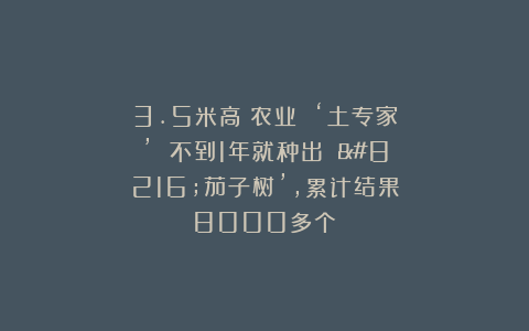 3.5米高！农业 ‘土专家’ 不到1年就种出 ‘茄子树’，累计结果8000多个