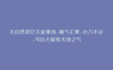 大自然是巨大能量场，精气汇聚，心力不足，可以去吸收天地之气