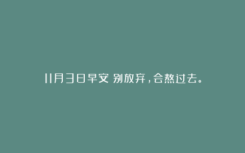 11月3日早安:别放弃,会熬过去。