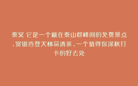 泰安：它是一个藏在泰山群峰间的免费景点，赏银杏登天梯品清茶，一个值得你深秋打卡的好去处