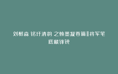 刘树森《铭玕清韵》之翰墨凝香篇‖将军笔底藏锋骨