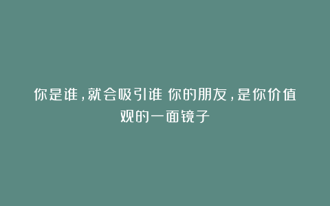 你是谁，就会吸引谁：你的朋友，是你价值观的一面镜子！