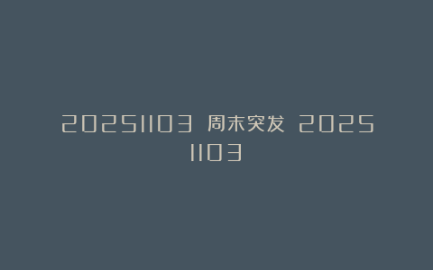 20251103 周末突发！（20251103）