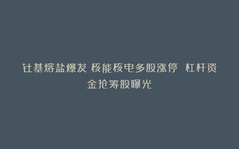 钍基熔盐爆发！核能核电多股涨停 杠杆资金抢筹股曝光