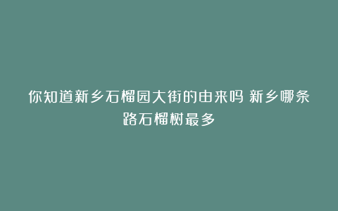 你知道新乡石榴园大街的由来吗？新乡哪条路石榴树最多？