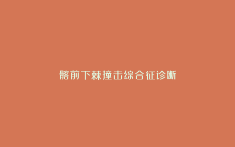 髂前下棘撞击综合征诊断