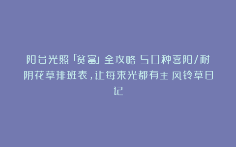 阳台光照「贫富」全攻略:50种喜阳/耐阴花草排班表,让每束光都有主|风铃草日记