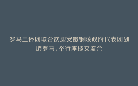罗马三侨团联合欢迎安徽铜陵政府代表团到访罗马,举行座谈交流会