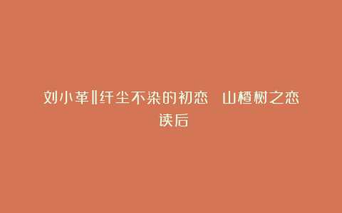 刘小革‖纤尘不染的初恋－－《山楂树之恋》读后