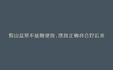 假山盆景不能随便放，摆放正确将会好运来