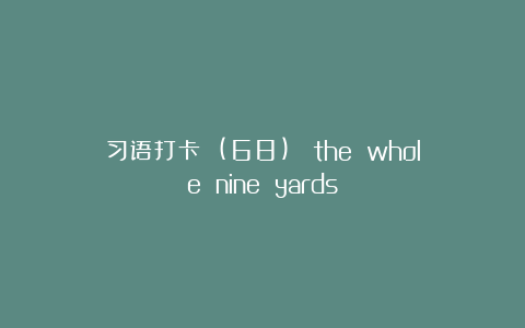 习语打卡 (68)： the whole nine yards