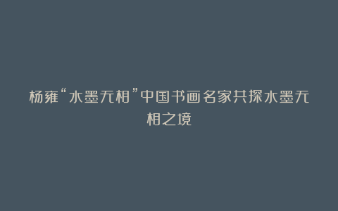 杨雍“水墨无相”中国书画名家共探水墨无相之境