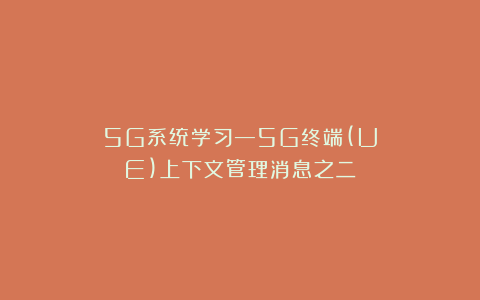 5G系统学习—5G终端(UE)上下文管理消息之二