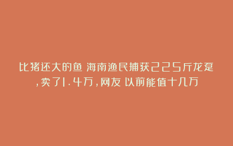比猪还大的鱼！海南渔民捕获225斤龙趸，卖了1.4万，网友：以前能值十几万！