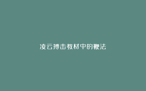 凌云搏击教材中的鞭法