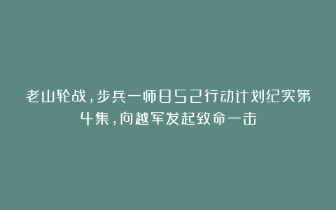 老山轮战，步兵一师852行动计划纪实第4集，向越军发起致命一击