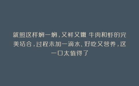 就照这样焖一焖，又鲜又嫩！牛肉和虾的完美结合，过程未加一滴水、好吃又营养，这一口太值得了