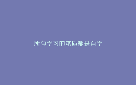 所有学习的本质都是自学