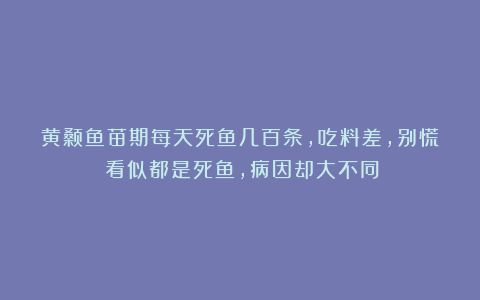 黄颡鱼苗期每天死鱼几百条，吃料差，别慌！看似都是死鱼，病因却大不同！