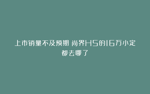 上市销量不及预期！尚界H5的16万小定都去哪了？