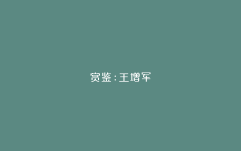 赏鉴:王增军