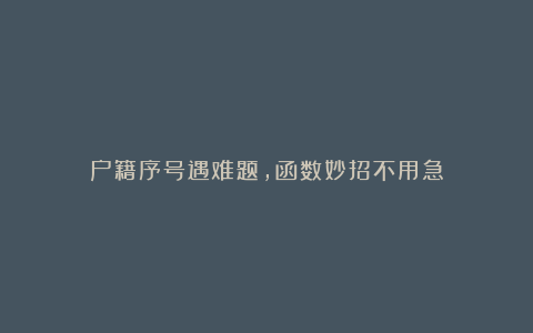户籍序号遇难题，函数妙招不用急