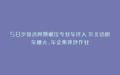 58岁保洁阿姨碾压专业车评人！东北话唠车爆火，车企集体抄作业