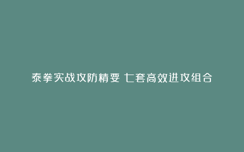 泰拳实战攻防精要：七套高效进攻组合