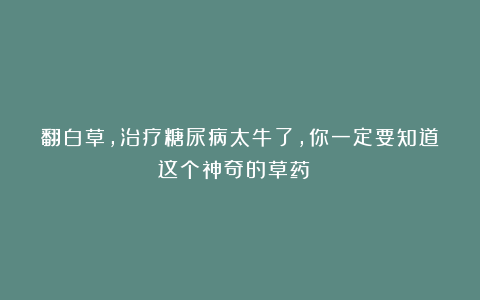 翻白草,治疗糖尿病太牛了,你一定要知道这个神奇的草药!!!