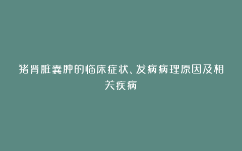 猪肾脏囊肿的临床症状、发病病理原因及相关疾病