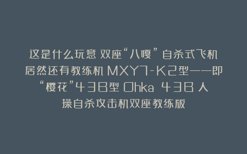 这是什么玩意？双座“八嘎”？自杀式飞机居然还有教练机？MXY7-K2型——即“樱花”43B型（Ohka 43B）人操自杀攻击机双座教练版