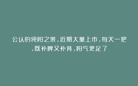 公认的纯阳之果,近期大量上市,每天一把,既补脾又补肾,阳气更足了