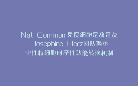 Nat Commun：免疫细胞是敌是友？Josephine Herz团队揭示中性粒细胞时序性功能转换机制