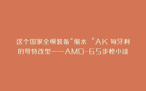 这个国家全员装备“缩水 ”AK：匈牙利的奇特改型——AMD-65步枪小谈