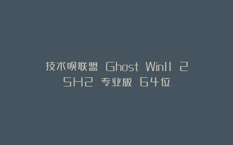 技术员联盟 Ghost Win11 25H2 专业版 64位
