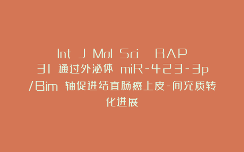 Int J Mol Sci | BAP31 通过外泌体 miR-423-3p/Bim 轴促进结直肠癌上皮-间充质转化进展