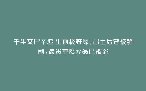 千年女尸辛追：生前极奢靡，出土后曾被解剖，最贵重陪葬品已被盗