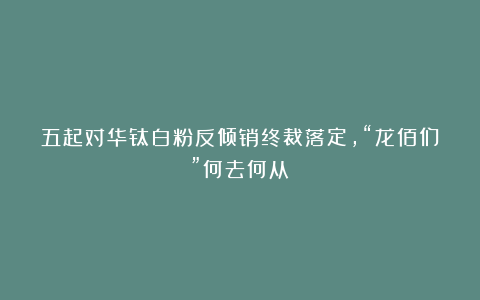 五起对华钛白粉反倾销终裁落定,“龙佰们”何去何从?