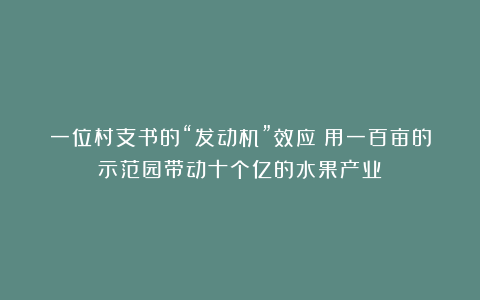 一位村支书的“发动机”效应：用一百亩的示范园带动十个亿的水果产业