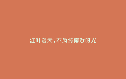 红叶漫天，不负终南好时光