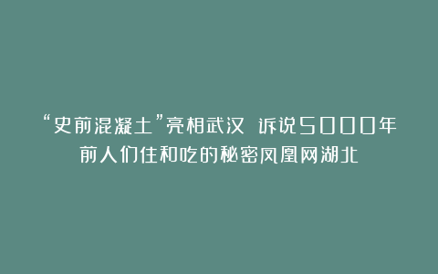 “史前混凝土”亮相武汉 诉说5000年前人们住和吃的秘密凤凰网湖北