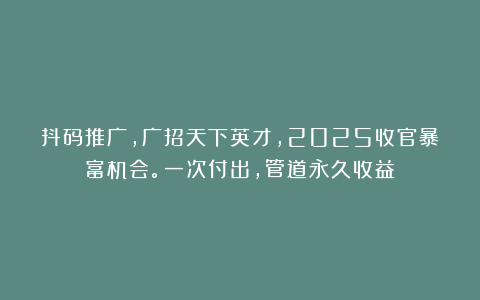 抖码推广，广招天下英才，2025收官暴富机会。一次付出，管道永久收益