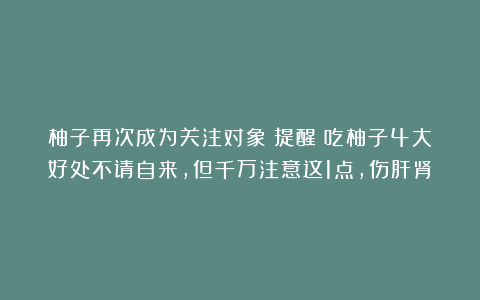 柚子再次成为关注对象!提醒:吃柚子4大好处不请自来,但千万注意这1点,伤肝肾
