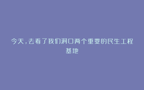 今天，去看了我们洞口两个重要的民生工程基地