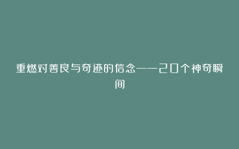 重燃对善良与奇迹的信念——20个神奇瞬间
