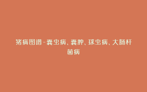 猪病图谱-囊虫病、囊肿、球虫病、大肠杆菌病