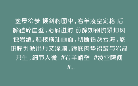 逸景绘梦：倾斜构图中，岩羊凌空定格：后蹄蹬碎崖壁，石屑迸射；前蹄如钢钩紧扣风蚀岩缝。枯枝横插画面，切断铅灰云海，琥珀瞳孔映出万丈深渊，蹄底肉垫褶皱与岩晶共生，细节入微。#岩羊峭壁 #凌空瞬间 #…
