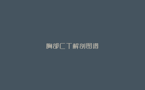 胸部CT解剖图谱